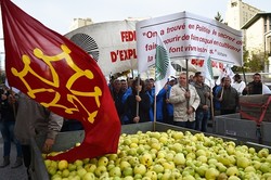 Petani Prancis Protes Pemerintah dengan Bagikan Buah, Sayur, dan Pupuk Kandang