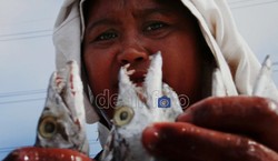 Program Nelayan Digital Dimulai dari Muara Angke