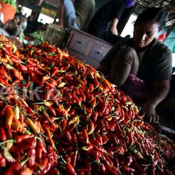 Kemarau Panjang, Harga Semua Jenis Cabai di Jakarta Naik