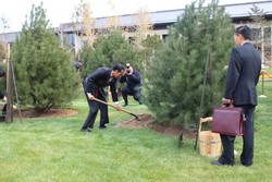 Momen Saat Pak Jokowi Menimbun Pohon Pinus di Beijing