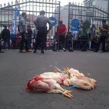 Tolak Upah Murah, Buruh Lempar Ayam Sembelihan ke Kantor Gubernur Jateng
