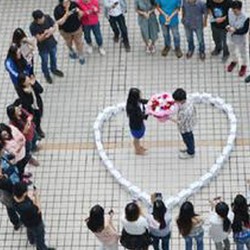 Kasihan, Lamar Pacar Pakai 99 iPhone 6 Tapi Ditolak