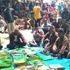 Ritual Pengantin Kucing Digelar Warga Agar Turun Hujan