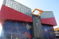 Ini Dia Akuarium Terbaik di Jepang