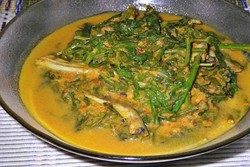 Gulai Paku, Gulai Lamak Jodohnya Katupek