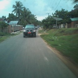 Blusukan ke Proyek Mangkrak, Menteri Basuki Menembus Hutan di Jambi