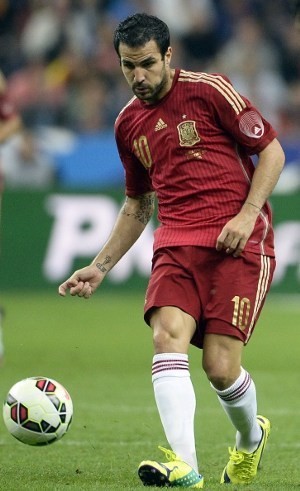 Cedera, Fabregas Tarik Diri dari Skuat Spanyol