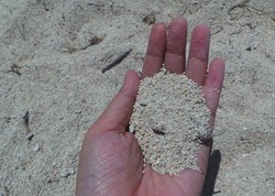 Seperti Merica, Pasir Pantai Kuta Lombok Malah Jadi Oleh-oleh