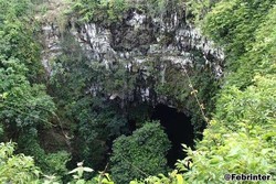 Aneh Tapi Nyata, Hutan Purba di Dalam Gua Jomblang