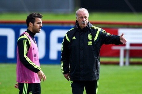 Del Bosque: Fabregas Dokter yang Paling Bagus untuk Dirinya Sendiri