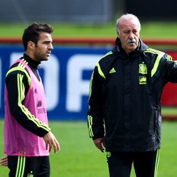 Del Bosque: Fabregas Dokter yang Paling Bagus untuk Dirinya Sendiri