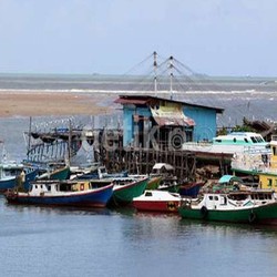 Rapat 1,5 Jam Menteri Susi-BPH Migas: Subsidi BBM Kapal Ikan Besar Dihapus