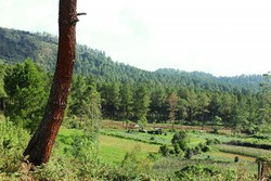 Malino, Puncak Bogor Ala Sulawesi Selatan