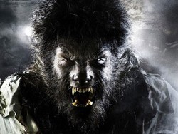 Universal Siap Hidupkan Kembali Karakter The Wolfman