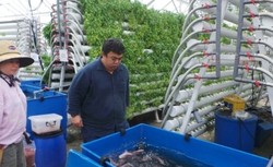 Mengenal Social Entrepreneur di Singapura