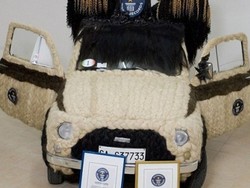 Demi Mobil Berambut, Wanita Ini Rela Rogoh Kocek Rp 1,1 Miliar