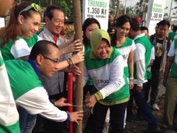 Shae Antusias Tanam Trembesi Bersama Wali Kota Risma