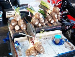 Rekreasi ke Bogor, Jangan Lupa Beli Buah Tangan