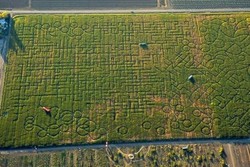 Labirin Terbesar di Dunia, Turis Tersesat Sampai Telfon 911!