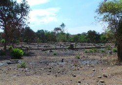 Sanggar, Bekas Kerajaan yang Menolak Lupa di Kaki Tambora