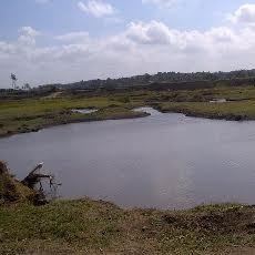 BLH Banyuwangi Desak Penutupan Tambang Liar