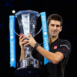 Simpati Djokovic untuk Federer dan Penonton