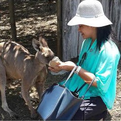 Kala Putri Presiden Jokowi Memberi Makan Kangguru