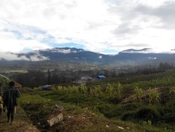 Buat yang Demo Kenaikan BBM, Tolong Dibantu Harga BBM di Papua Rp 50 ribu/liter