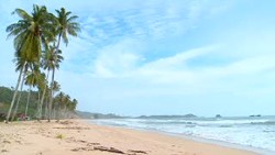 Mangrove, Membantu Alam Kembali Pulih