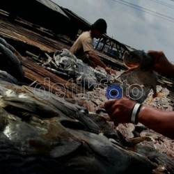 Pasang Tarif Impor Tinggi, Anggota G20 Masih Saling Protektif