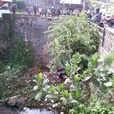 Hilang Kendali, Viar Angkut Belasan Siswa Terjun ke Sungai
