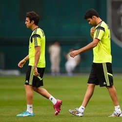 Del Bosque Enggan Disebut Mengancam Costa dan Fabregas