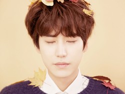 Setelah Kyuhyun, Adakah Member Super Junior Lain yang Debut Solo?
