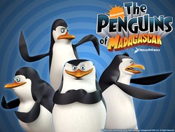 Mengintip Trailer Penguins of Madagascar