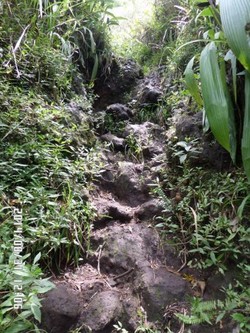 Miris! Kaki Gunung Tampomas yang Cantik Malah Jadi TPA Sampah