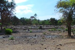 Sebelum Naik Tambora, Tengok Dulu Situs Makam Kerajaan Sanggar