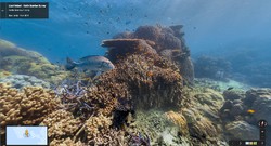 Google Maps Ajak Menyelam ke Bawah Laut