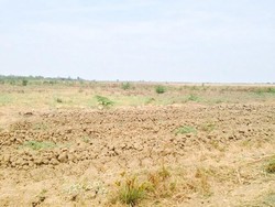 1.000 Hektar Sawah di Brebes Kering, Ini Langkah Mentan Amran