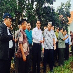 Gara-gara Proyek Irigasi Mangkrak, Ratusan Hektar Sawah di Pekalongan Kering