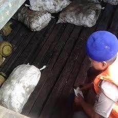 Nakhoda Kapal Asal Sumenep Diamankan Bawa 160 Karung Satwa Dilindungi