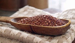 Inilah Kaniwa, Superfood Baru Kaya Nutrisi