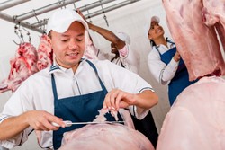 Seperti Inilah Proses Penyembelihan Domba Halal di Australia