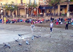 Napak Tilas Keragaman Kampung Kuno di Negeri Matador