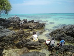 Karimunjawa: Surga Indonesia