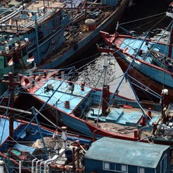 Menteri Susi Ungkap Soal Bandar Besar di Balik Ratusan Pencuri Ikan Manusia Perahu