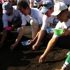 Dubes AS dan Bupati Banyuwangi Lepas Anak Penyu di Pantai Boom