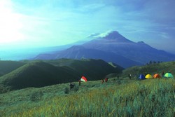 Pesona Gunung Prau & Bukit Teletubies, Wonosobo