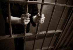 Terima Suap Promosikan Susu Formula, 12 Dokter Anak di Italia Ditangkap