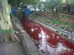 Hii...Kali di Belakang RSUD Jombang Ini Berubah Jadi Merah Darah