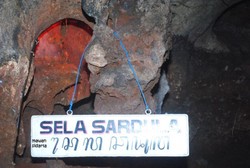 Batu Mirip Anjing & Aneka Keunikan Gua Akbar, Tuban